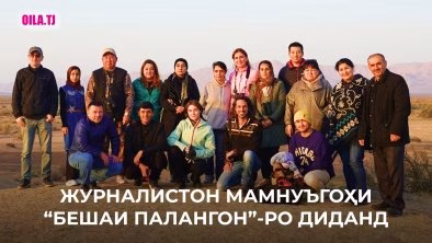 12 jounalists