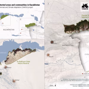 CAMCA Pilot Sites: Kazakhstan - English