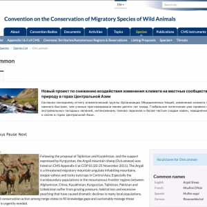 CMS Resource Page: Argali - English & Russian