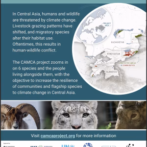 CAMCA Project Flyer English