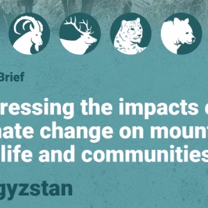 Policy Brief - Kyrgyzstan