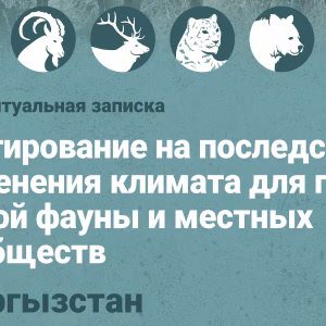 Аналитикалык баяндама - Кыргызстан